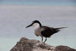 img_1229